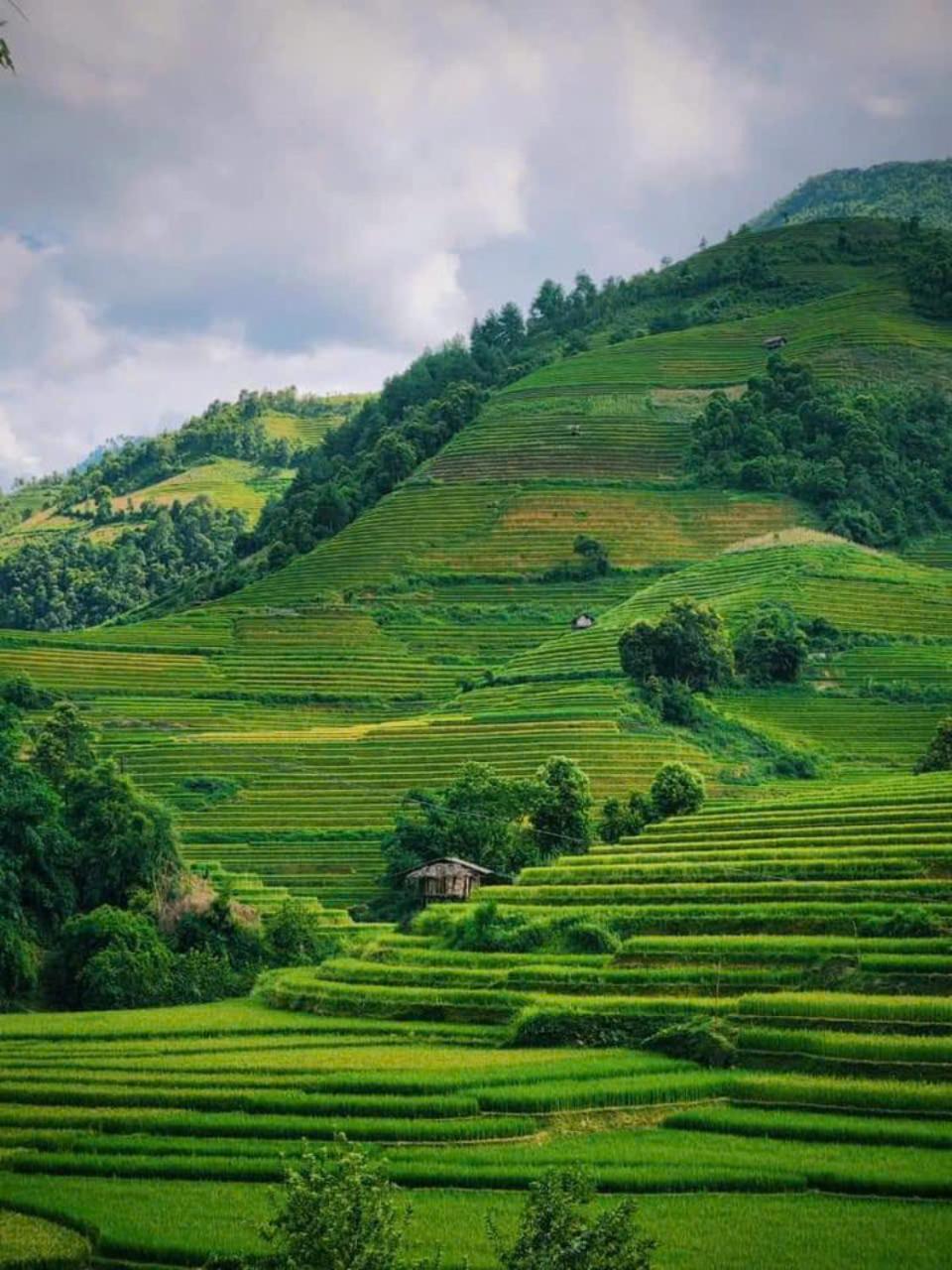 Mu Cang Chai Eco Home Exterior photo